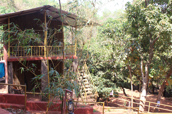 Bamboo House