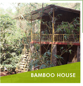 bamboo-house