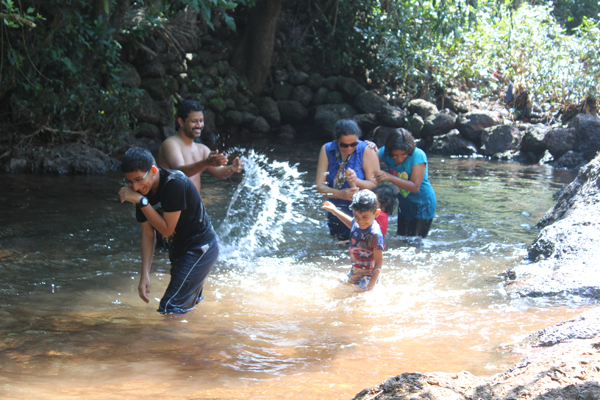 Water Stream