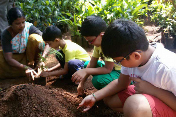 Planting Activity