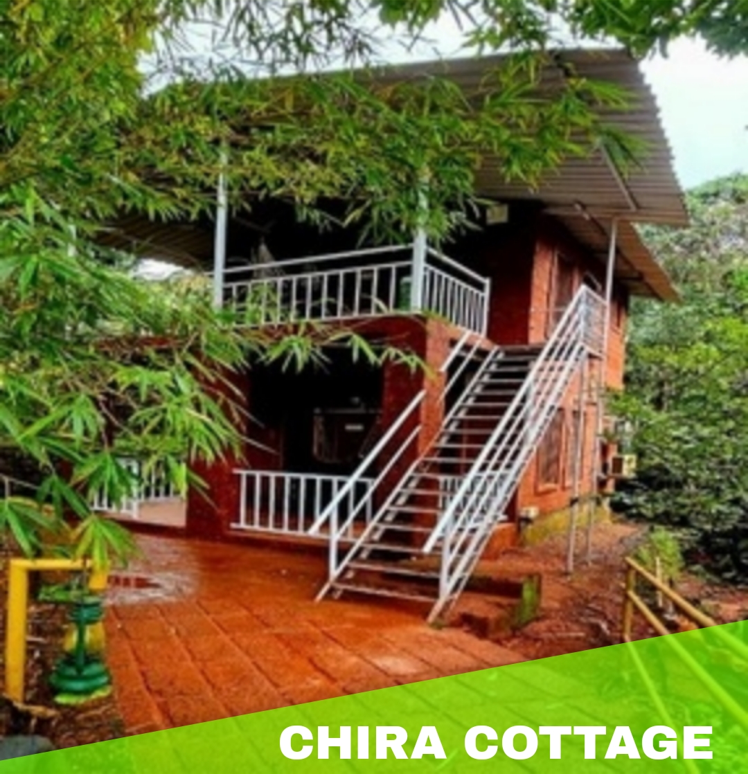 Picsart_25-09-30_15-50-57-628